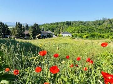 Baugrundstück(e) in absoluter Bestlage von LEOBENDORF – BURG KREUZENSTEIN, 2100 Leobendorf, Baugrund Eigenheim