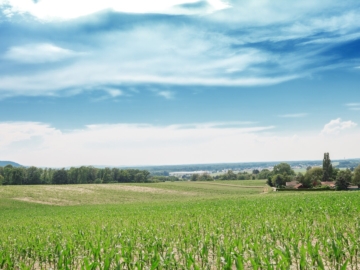 Umgebung - Baugrundstück(e) in absoluter Bestlage von LEOBENDORF – BURG KREUZENSTEIN